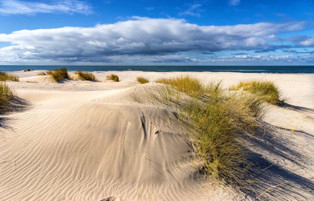  foto delle dune di spiaggia Capocotta, con il mare sullo sfondo