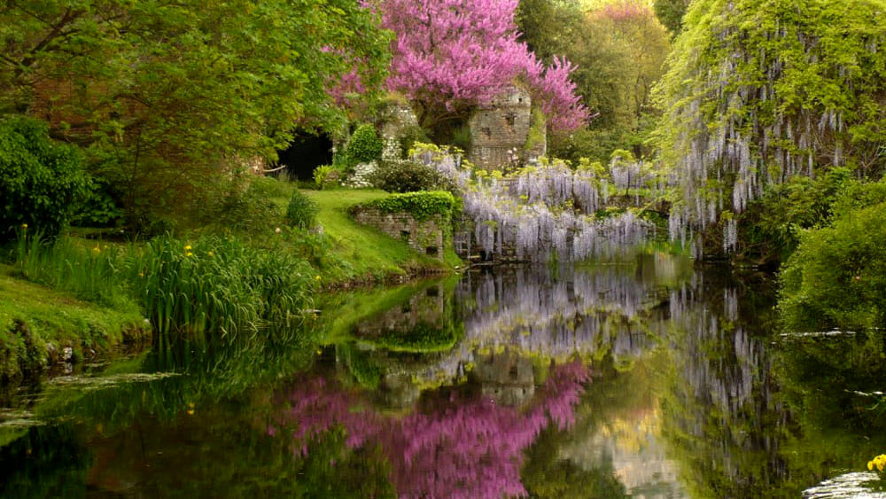 foto del giardino della Ninfa con i fiori e il glicine sullo sfondo che si riflettono sull’acqua.